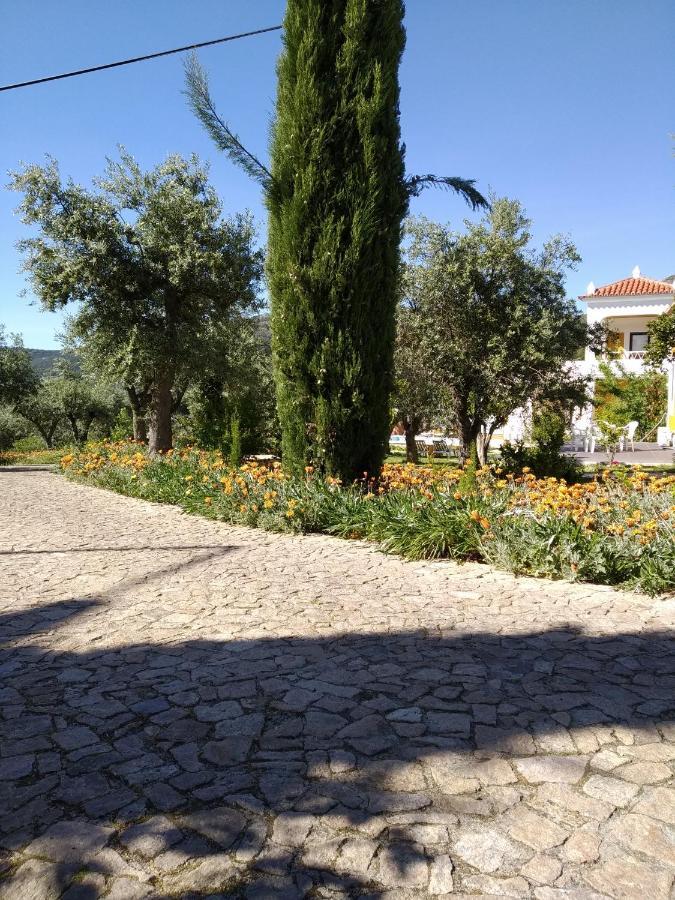 Casa Da Paleta Guest House Castelo de Vide Exterior photo